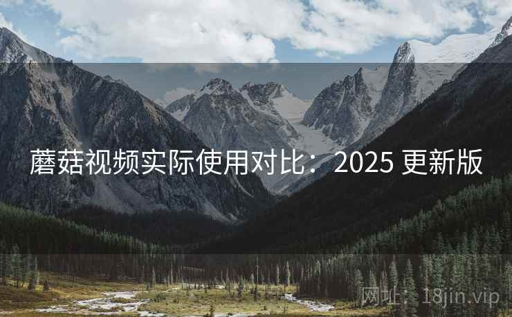 蘑菇视频实际使用对比：2025 更新版