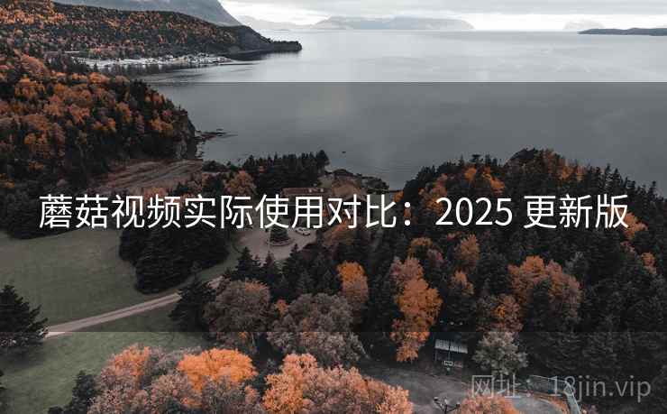 蘑菇视频实际使用对比：2025 更新版