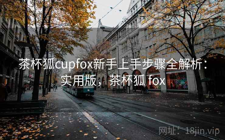 茶杯狐cupfox新手上手步骤全解析：实用版，茶杯狐 fox