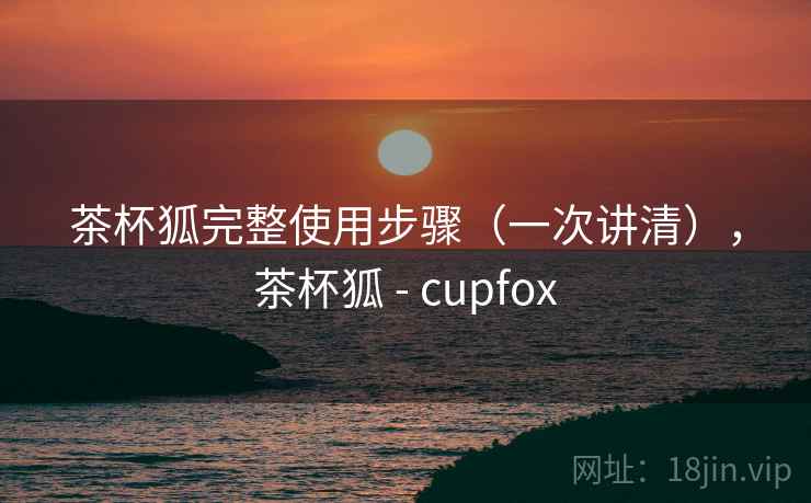 茶杯狐完整使用步骤（一次讲清），茶杯狐 - cupfox