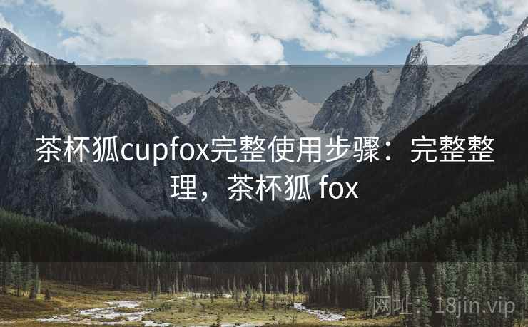 茶杯狐cupfox完整使用步骤：完整整理，茶杯狐 fox